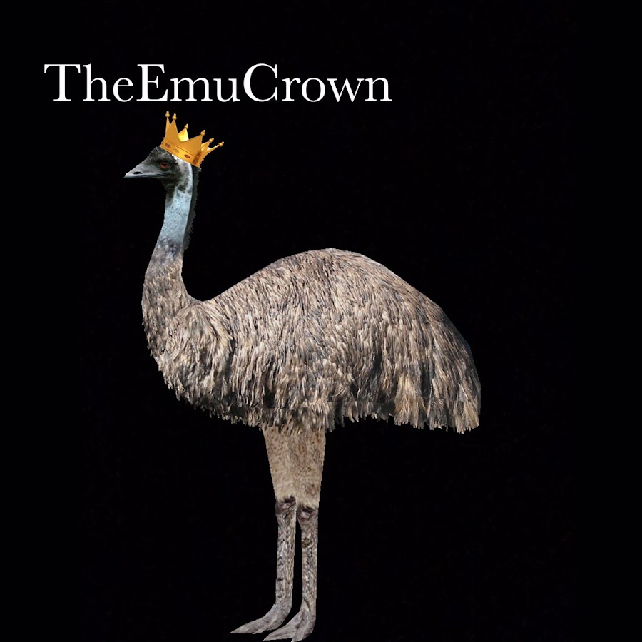 TheEmuCrown YouTube channel avatar