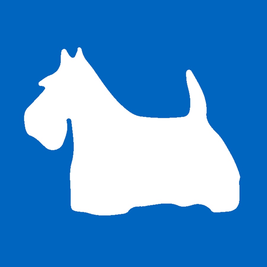 Carinya Scottish Terriers YouTube channel avatar