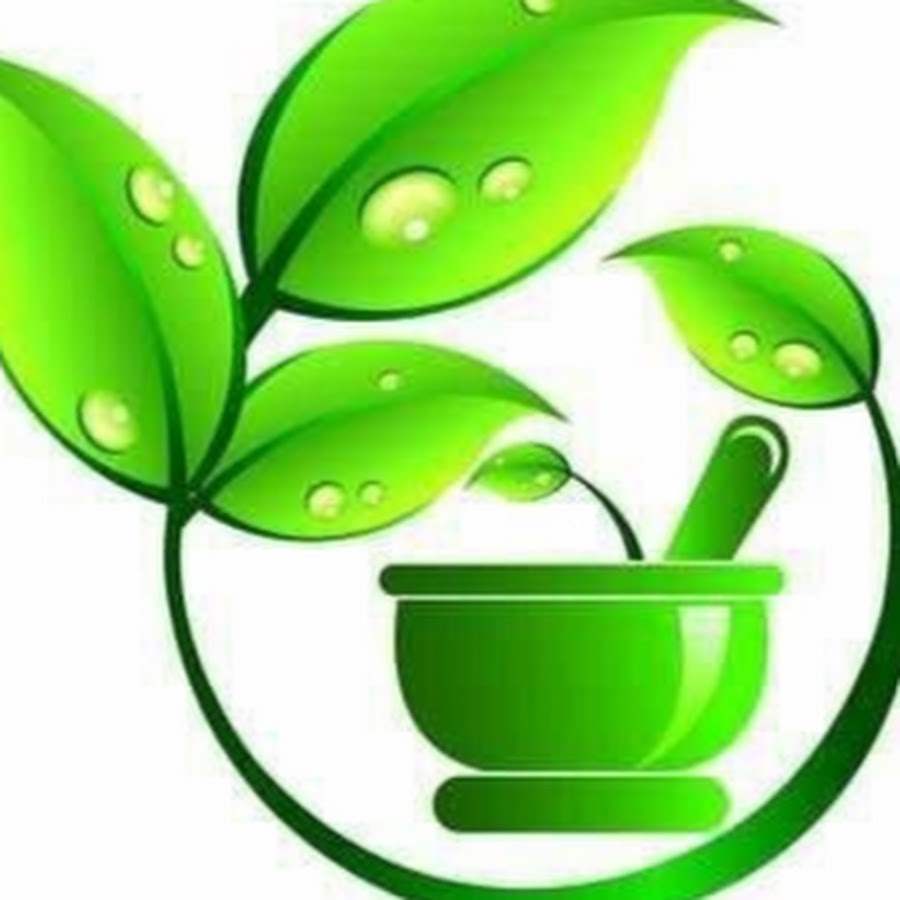 KERALA NATURAL HEALTH CARE Avatar channel YouTube 