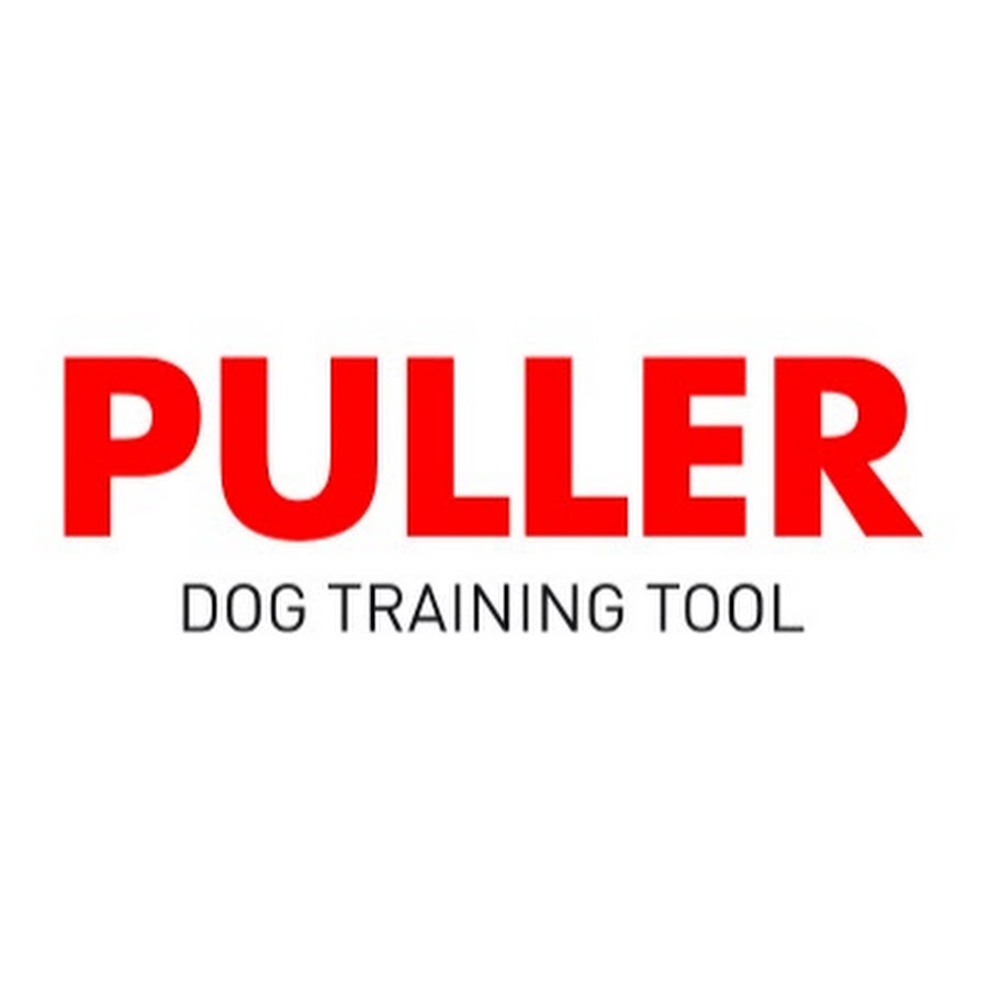 PULLER YouTube 频道头像