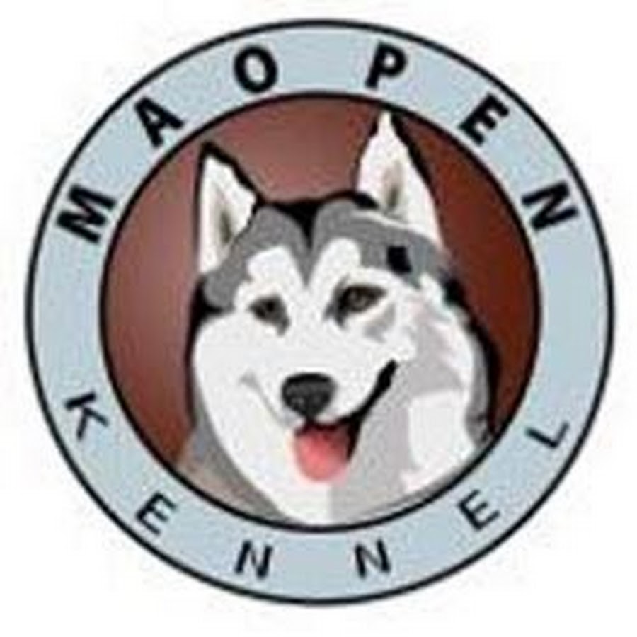 Mao Pen Kennel رمز قناة اليوتيوب