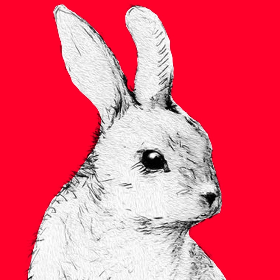 Nico The Rabbit YouTube channel avatar