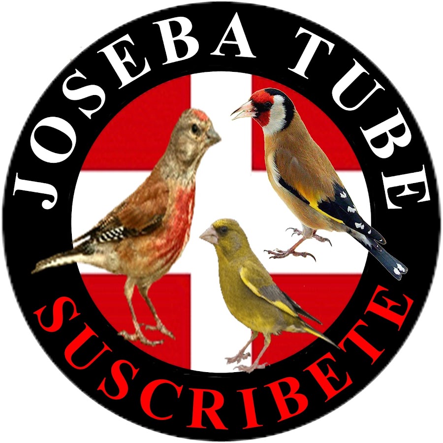 JOSEBA - TUBE