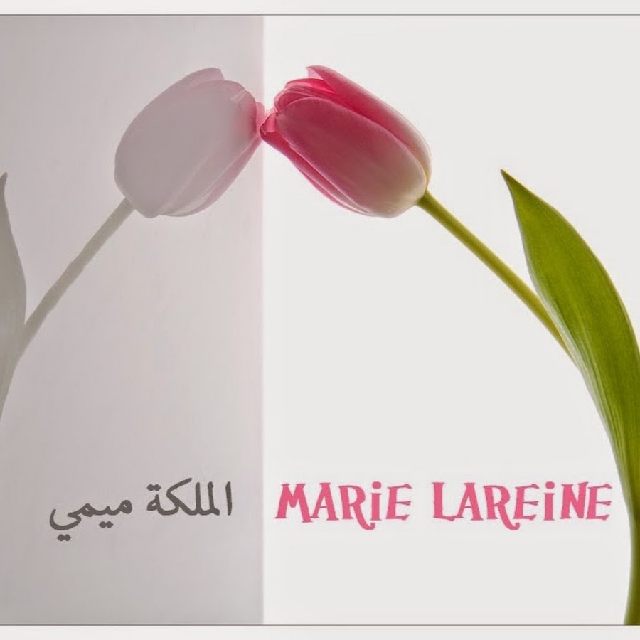 marie lareine Avatar canale YouTube 