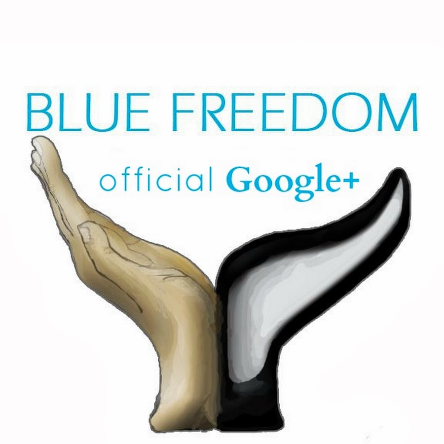 Blue Freedom Avatar canale YouTube 