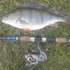 Lukas fishing