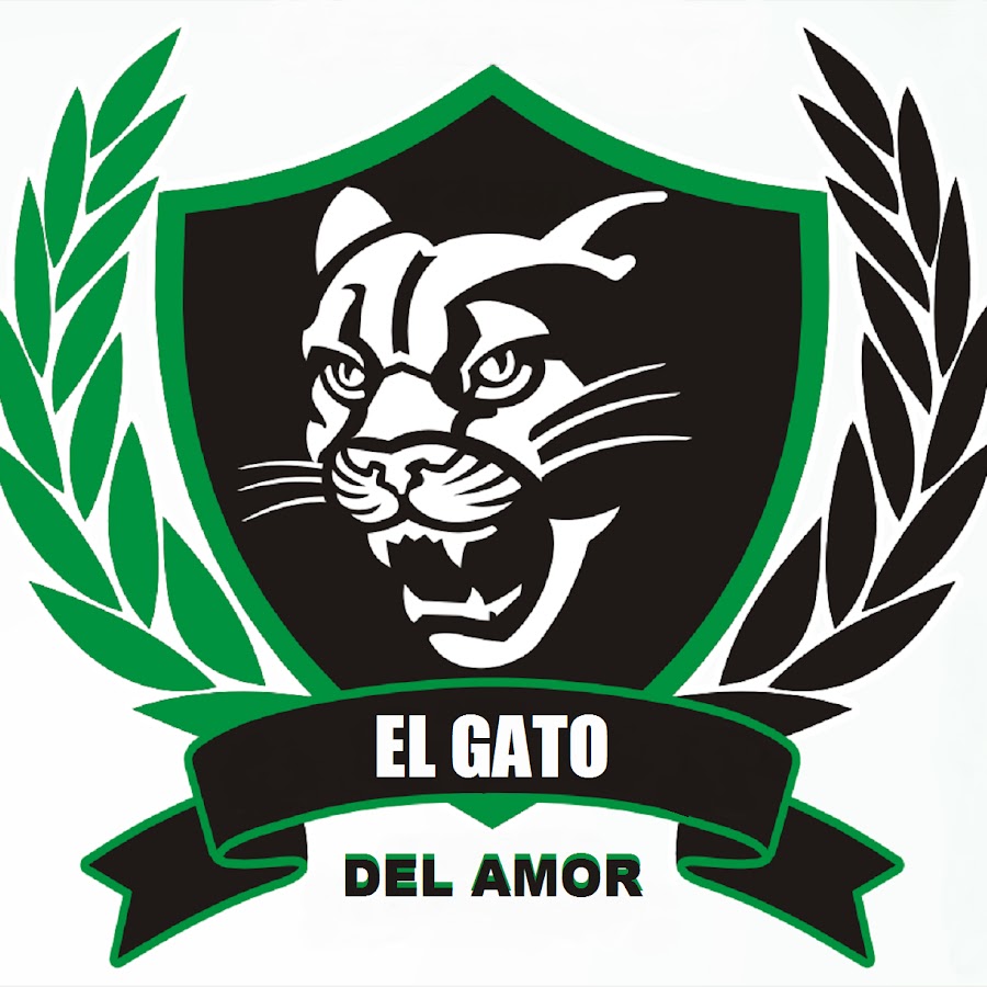 EL GATO DEL AMOR YouTube channel avatar