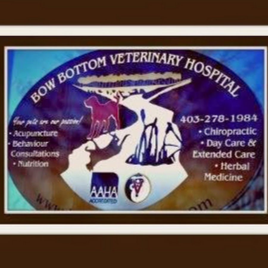 Bow Bottom Veterinary Hospital YouTube channel avatar