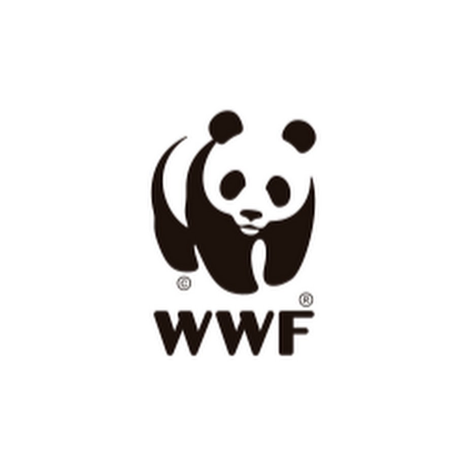 Wwfperu Youtube