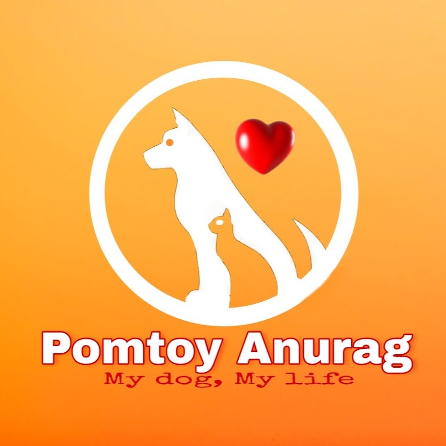 Pomtoy Anurag YouTube kanalı avatarı