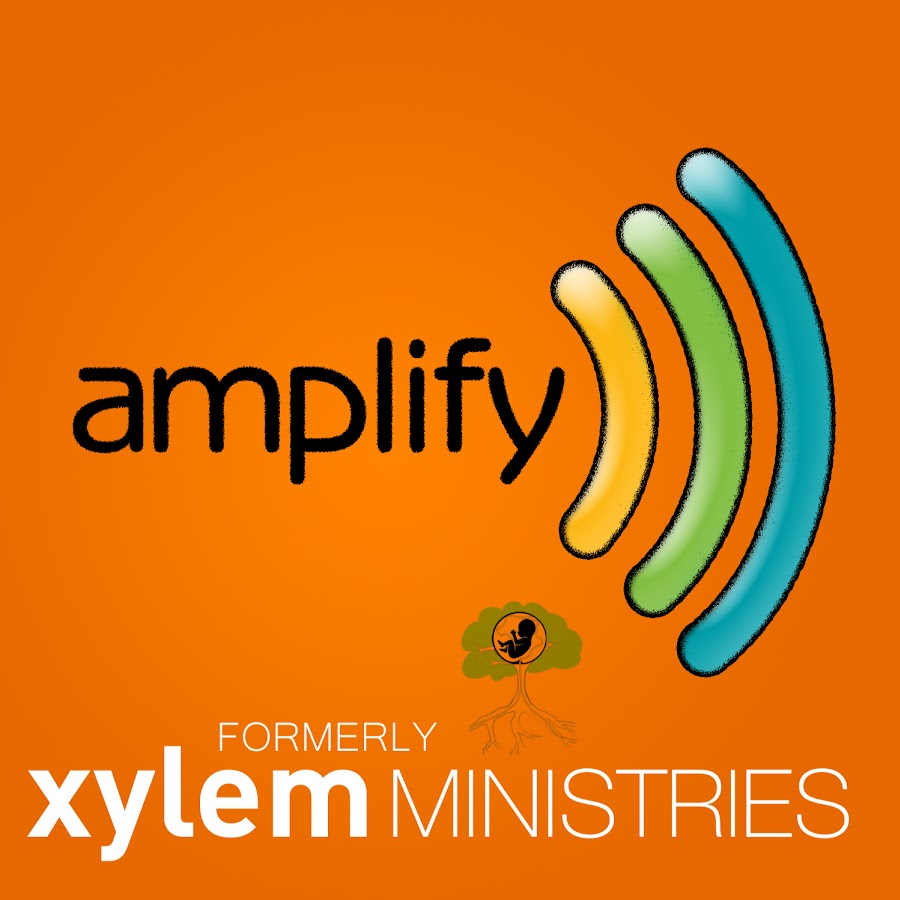 Amplify Ministries