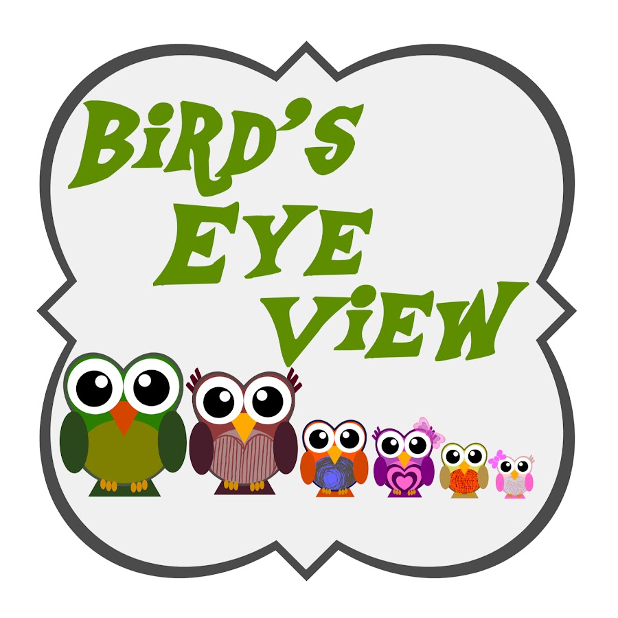 Bird's Eye View यूट्यूब चैनल अवतार