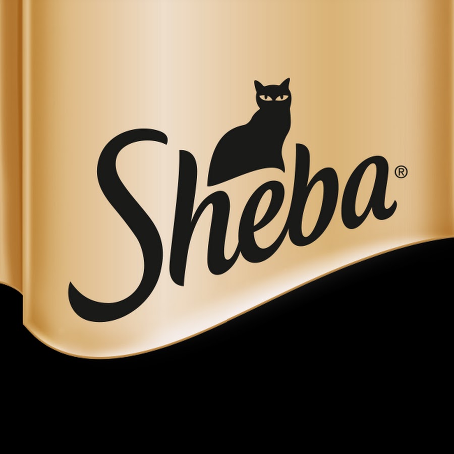 Sheba Thailand YouTube channel avatar