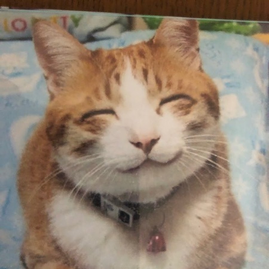 花画像ちゃんねる Youtube