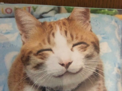 最高のコレクション 画像ちゃんねる 257999-画像チャンネル