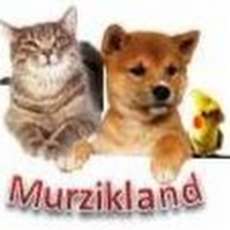 Murzikland Аватар канала YouTube