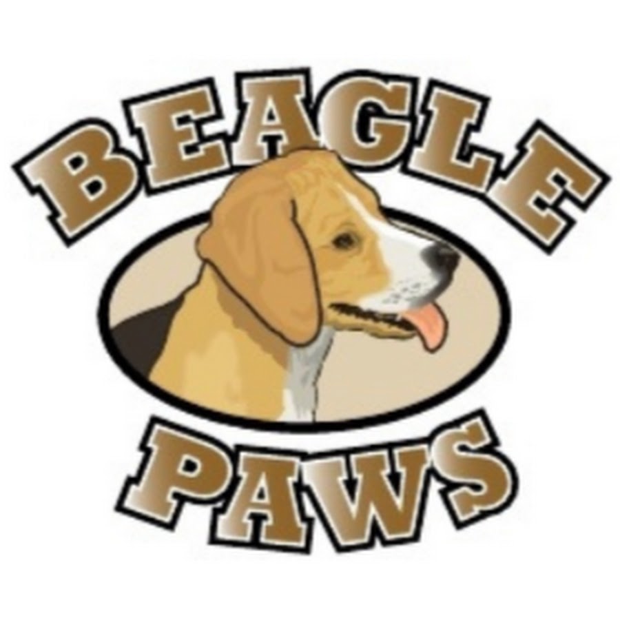 Beagle Paws