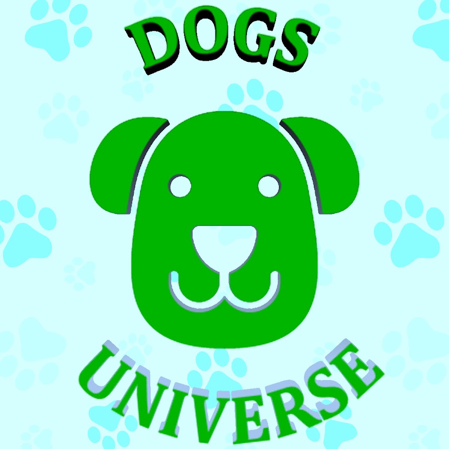 Dogs Universe YouTube channel avatar