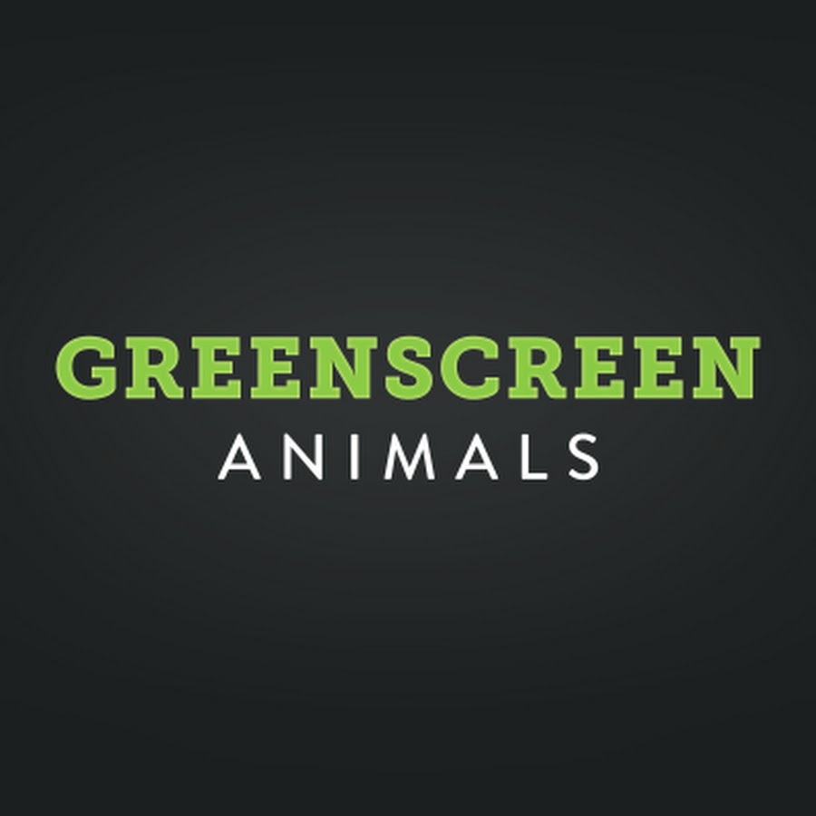 GreenScreenAnimals