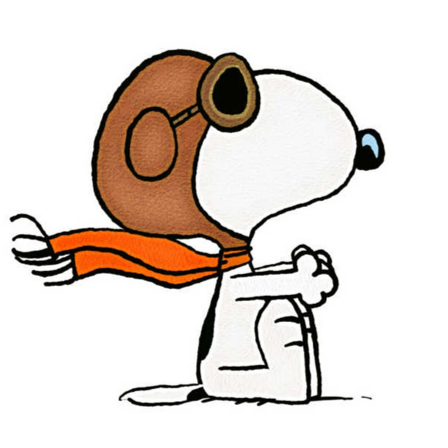 Snoopy Y Sus Amigos