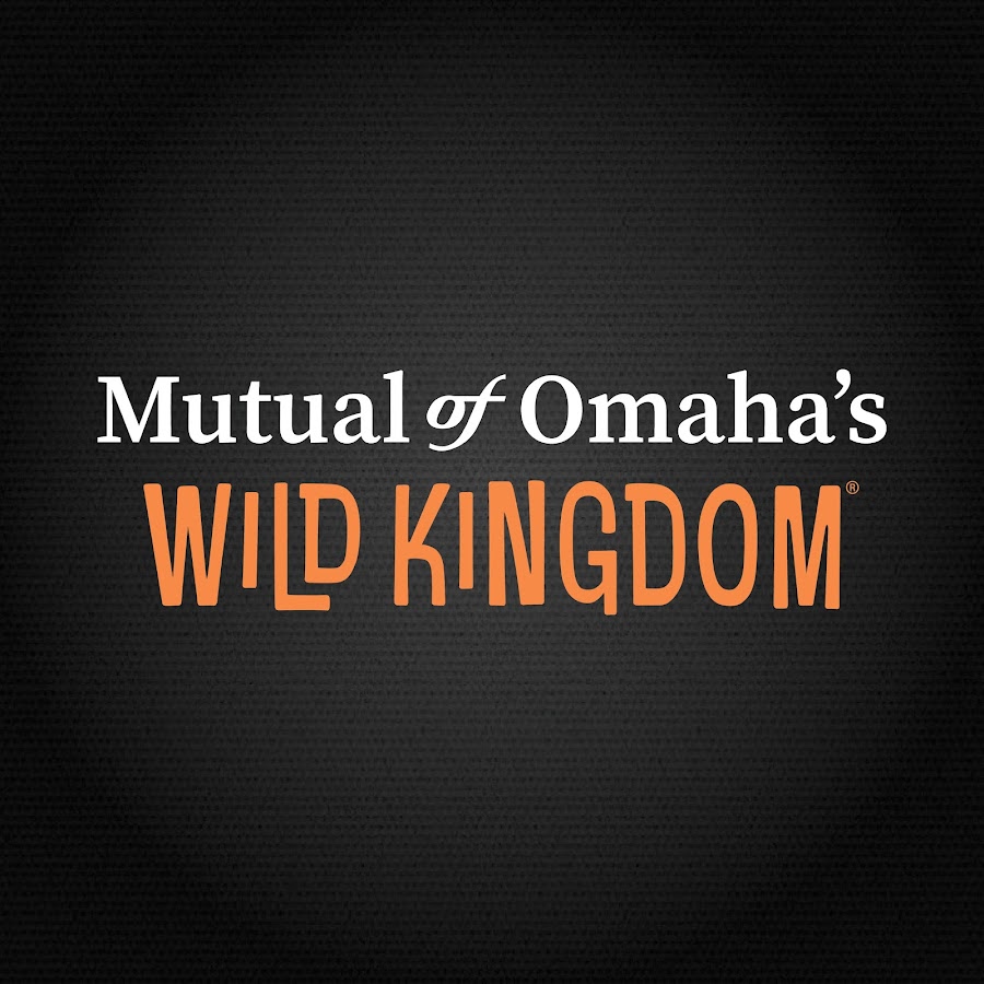 Wild Kingdom Awatar kanału YouTube