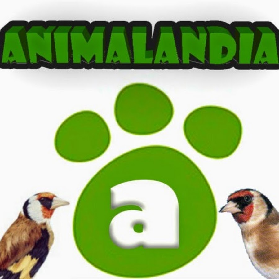 ANIMALANDIA