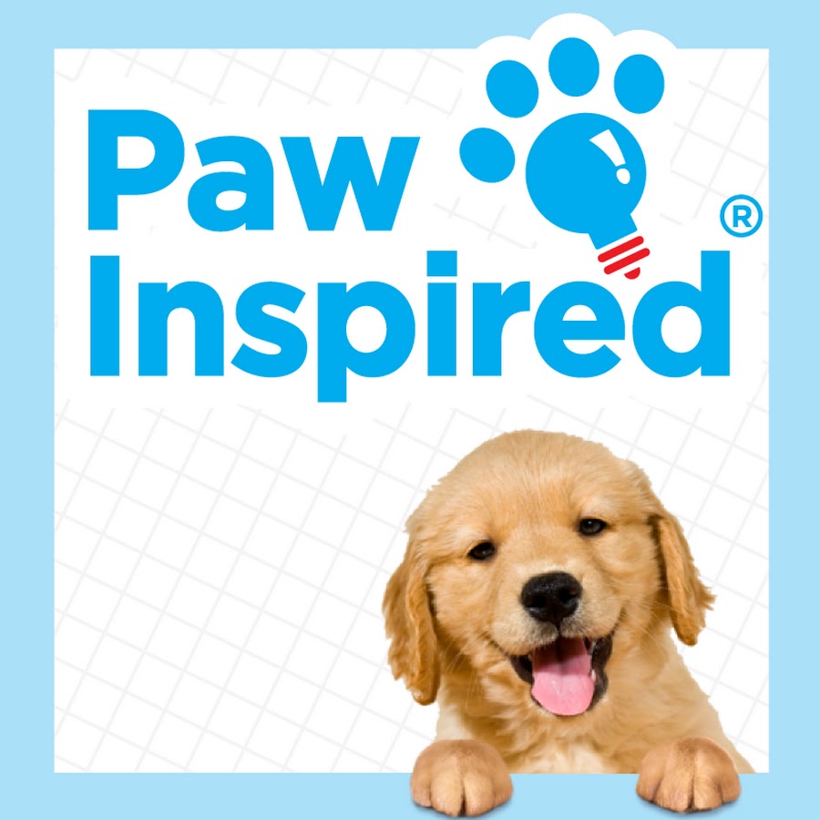 Paw Inspired YouTube channel avatar
