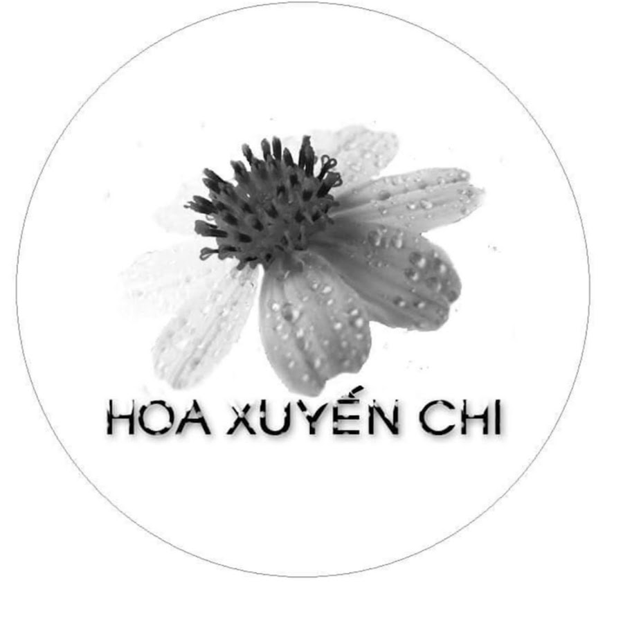 Hoa Xuyáº¿n Chi YouTube channel avatar