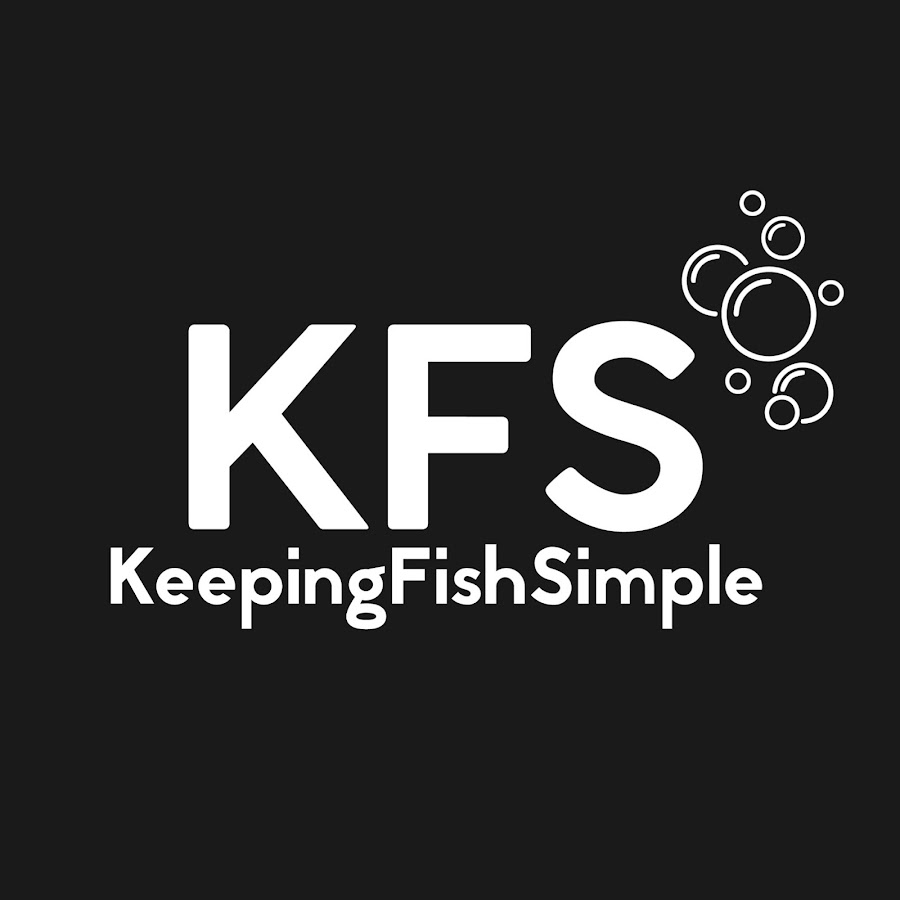 KeepingFishSimple YouTube channel avatar