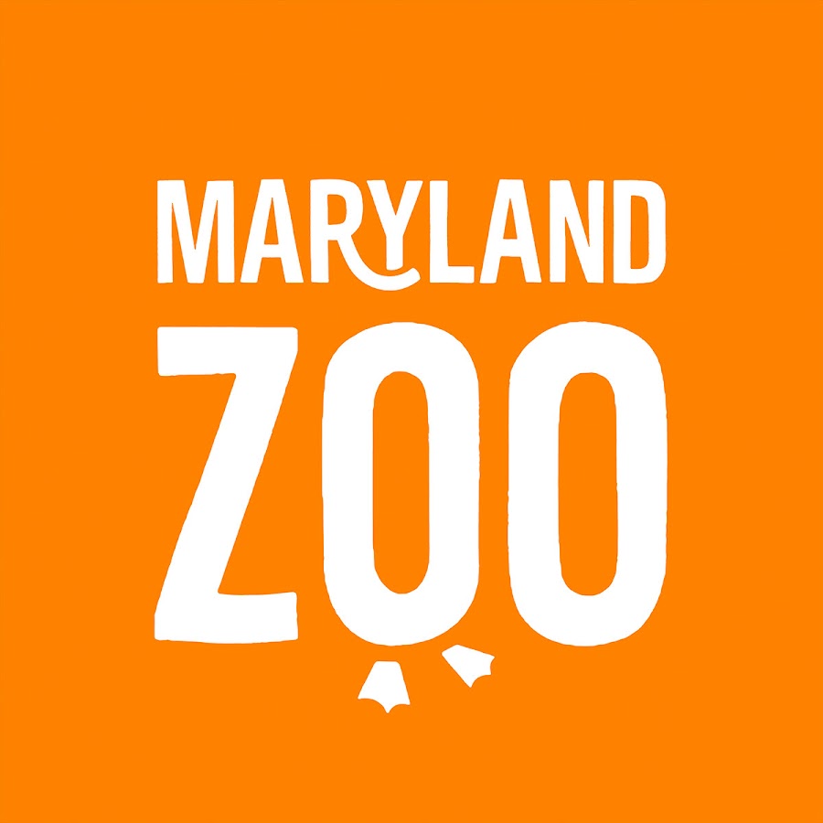 The Maryland Zoo in Baltimore YouTube channel avatar