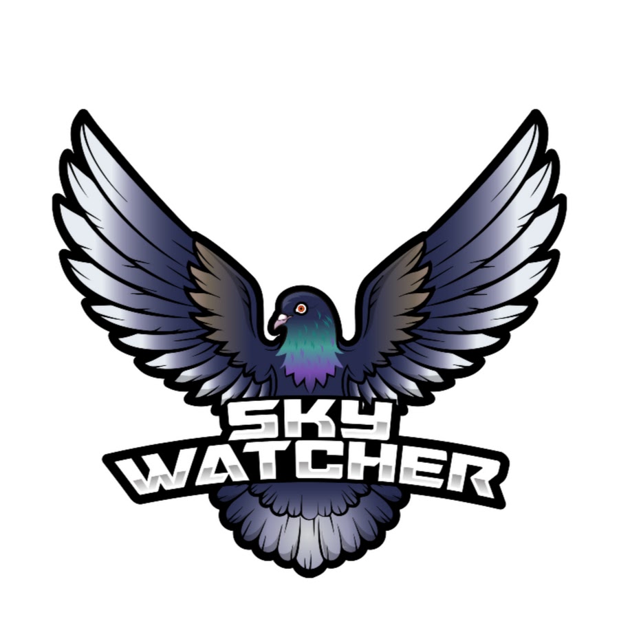 Sky Watcher Avatar del canal de YouTube