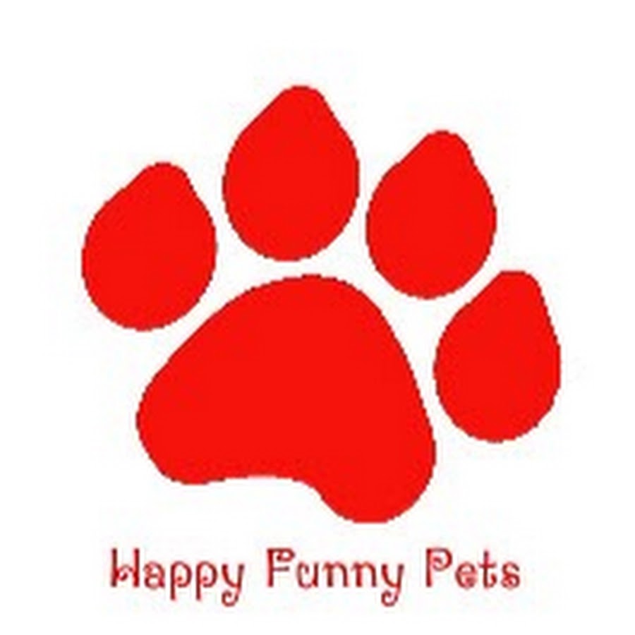 Happy Funny Pets رمز قناة اليوتيوب