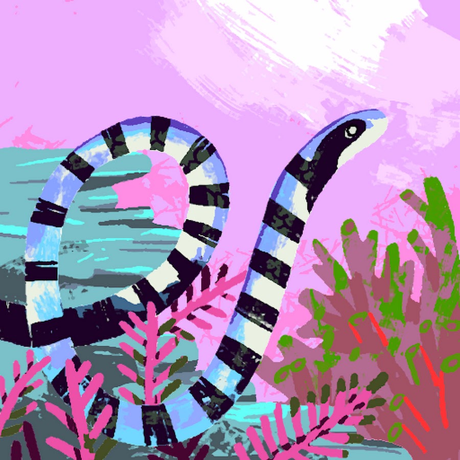 バスコ ショット Youtube