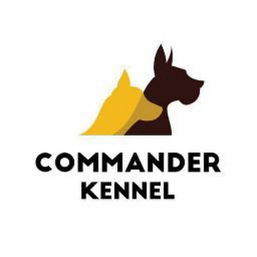 Commander Kennel رمز قناة اليوتيوب