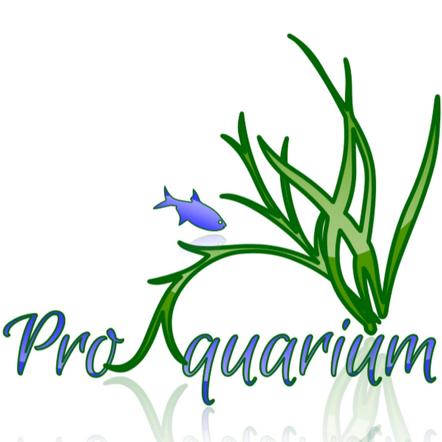 PRO Aquarium