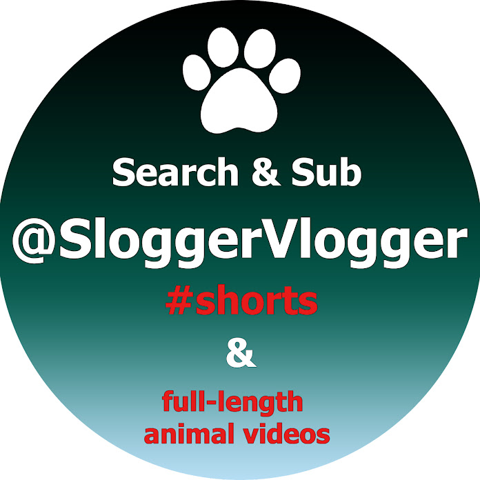 SloggerVlogger Net Worth & Earnings (2022)