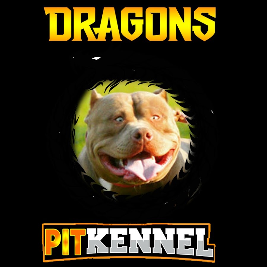 Dragons Pit Kennel Аватар канала YouTube