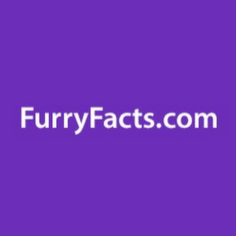 Furry Facts رمز قناة اليوتيوب