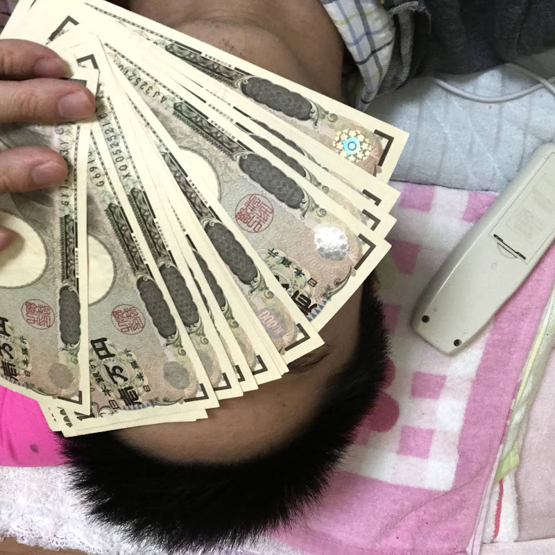 Dashboard 給与明細コレクターつばさ 金田一翼の事件簿原作者 Wizdeo Analytics