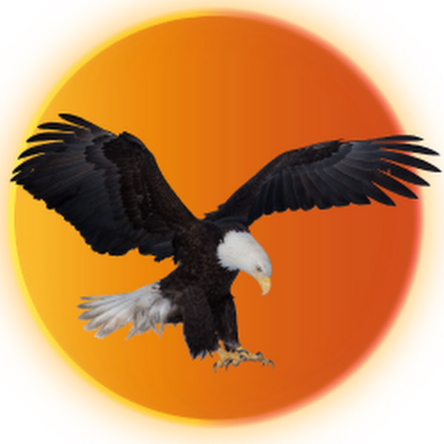 Eagle Country Avatar de canal de YouTube