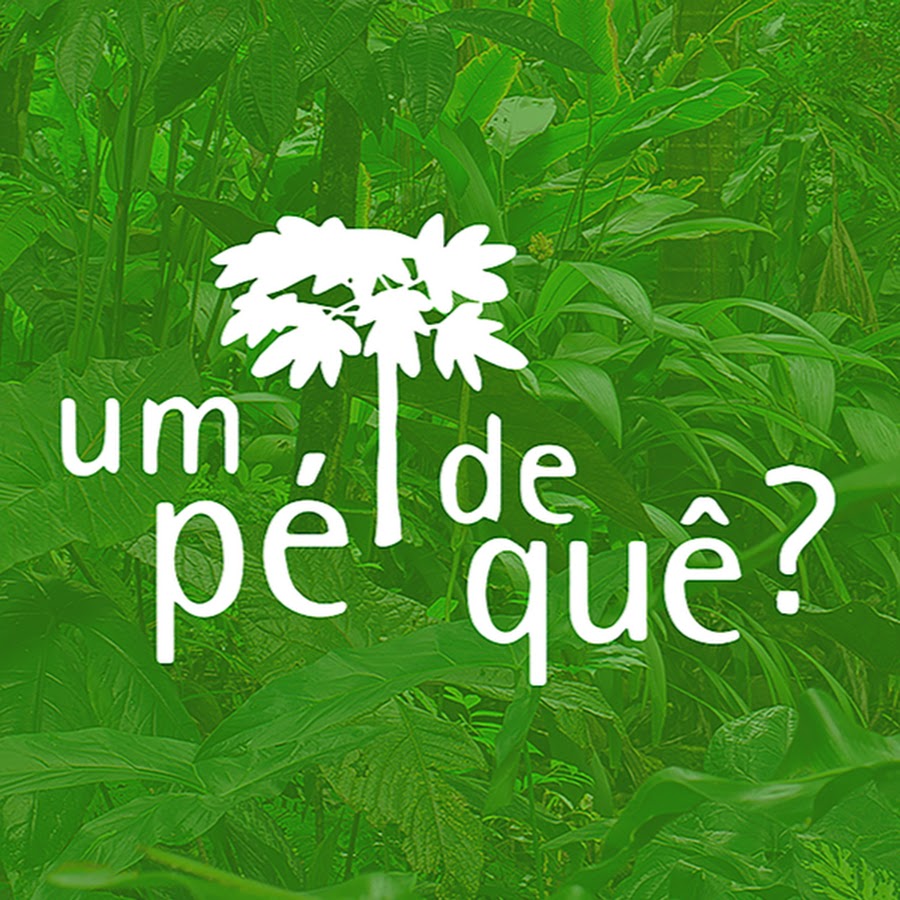 Um PÃ© de QuÃª? YouTube channel avatar