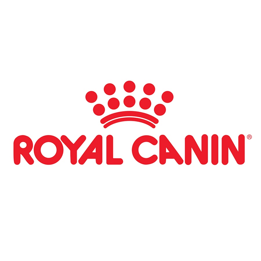 Royal Canin France YouTube channel avatar