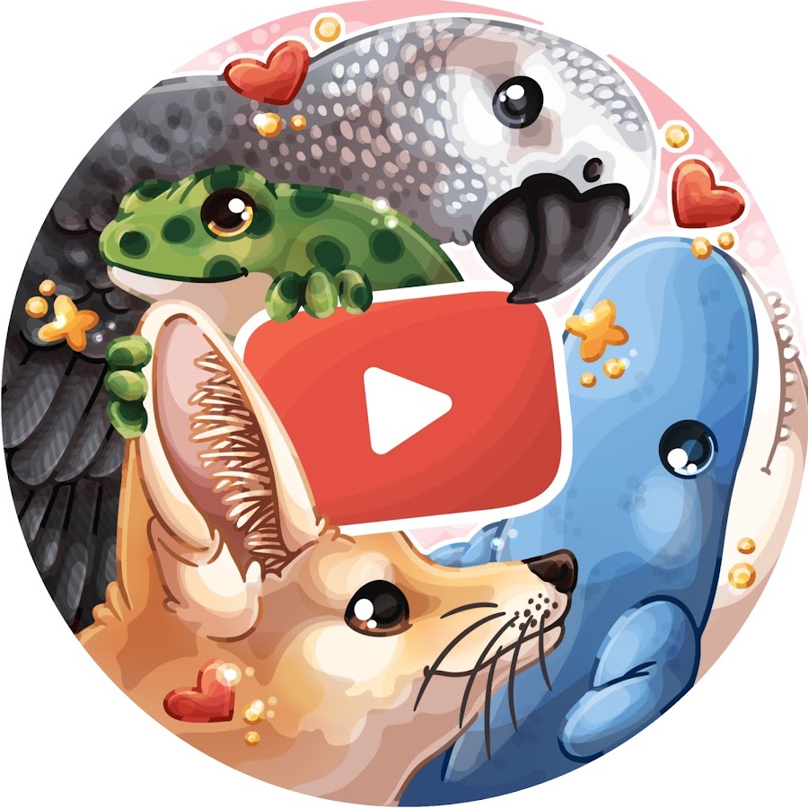 Zoocom Live YouTube channel avatar