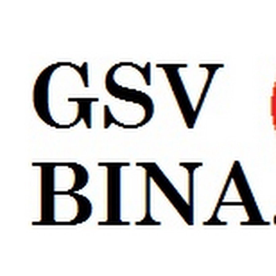 GSV BINA EDUCATION FOR YOU Аватар канала YouTube