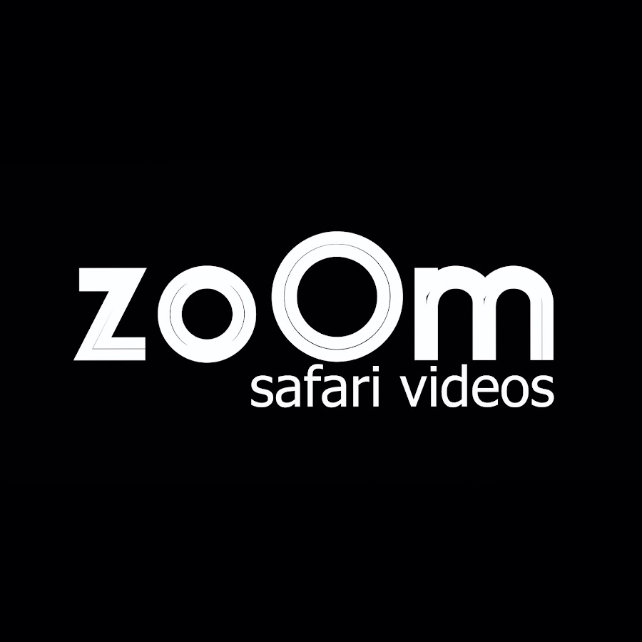 Zoom Safari Videos YouTube channel avatar