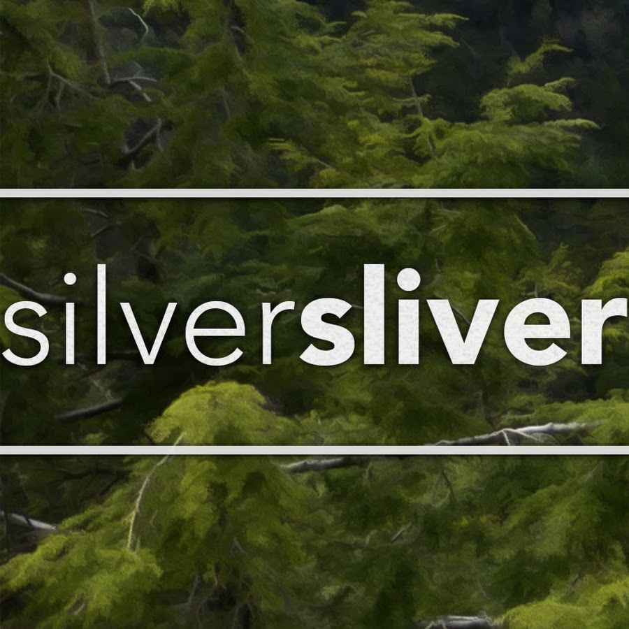 Silver Sliver Studios