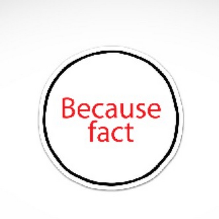 Because fact YouTube channel avatar