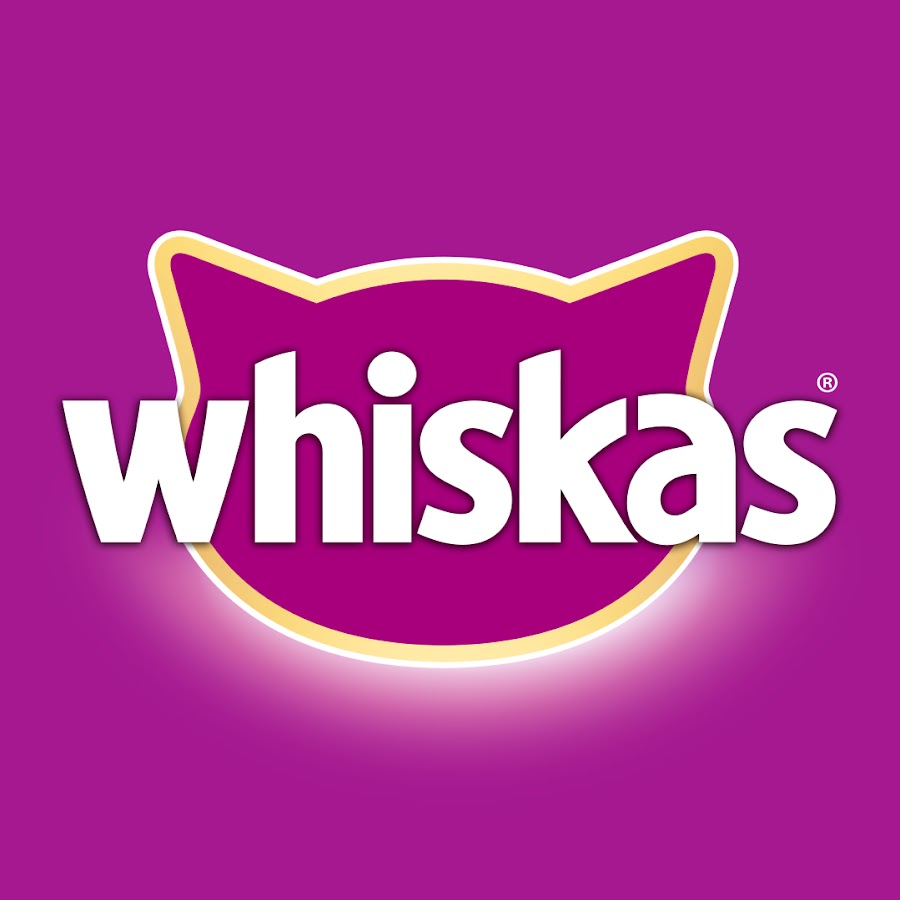 WhiskasBrasil YouTube channel avatar