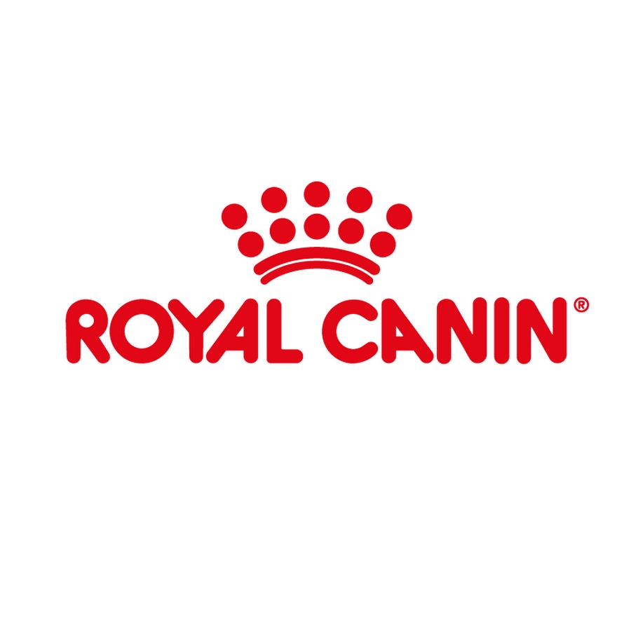 Royal Canin Thailand YouTube 频道头像