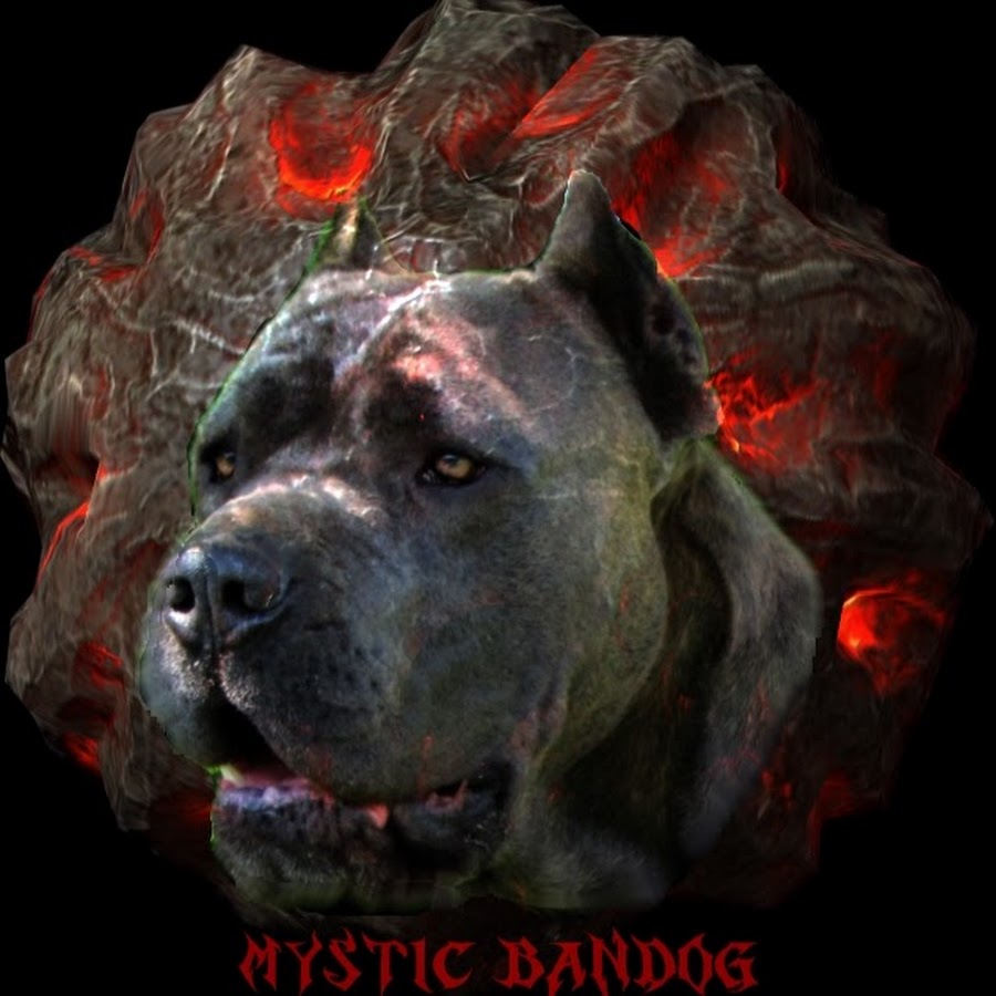 Mystic Bandog Kennels YouTube channel avatar